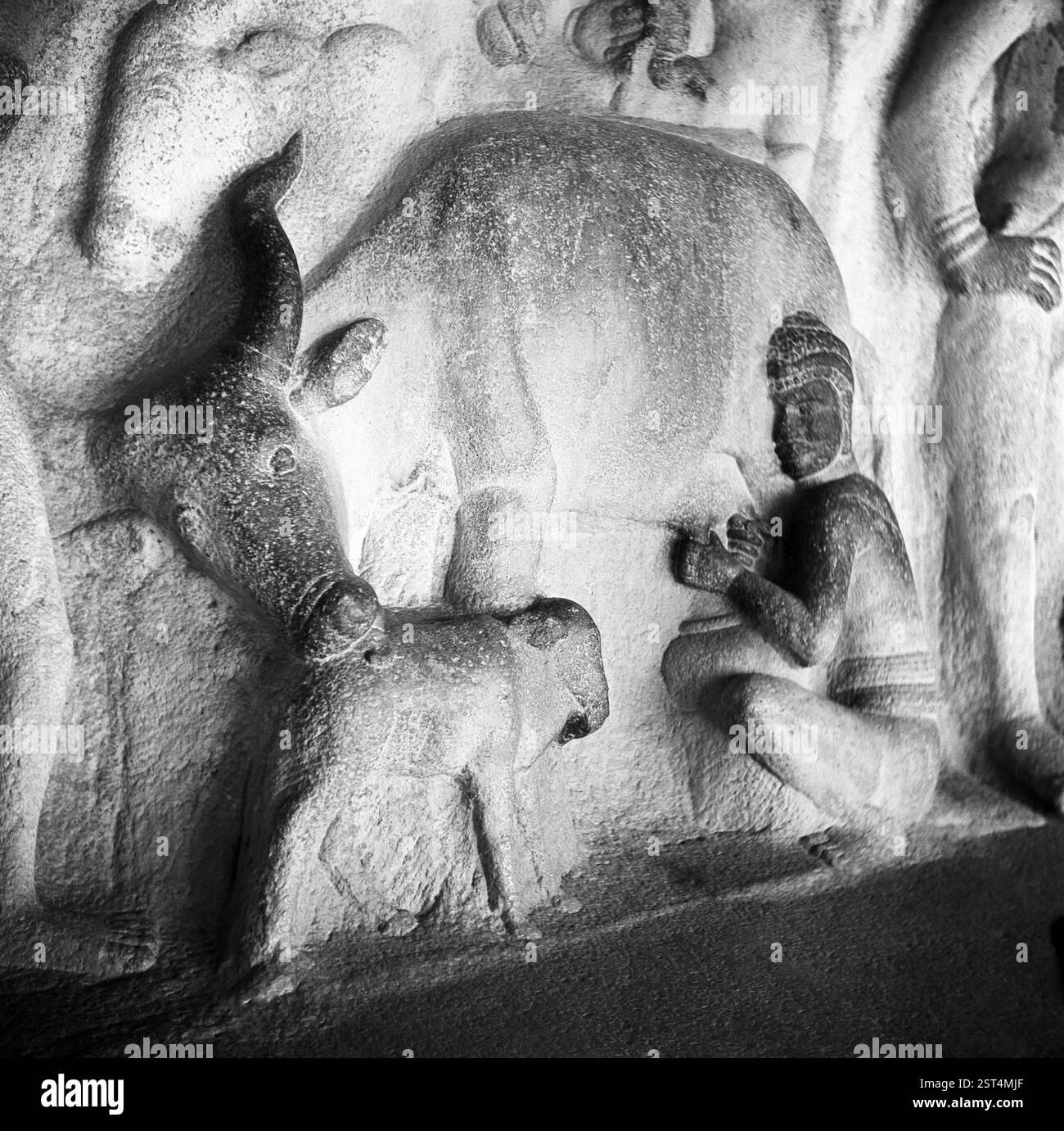 Skulpturen in Krishna Mandapa, Mamallapuram oder mahabalipuram, Tamilnadu, Indien, Asien Stockfoto