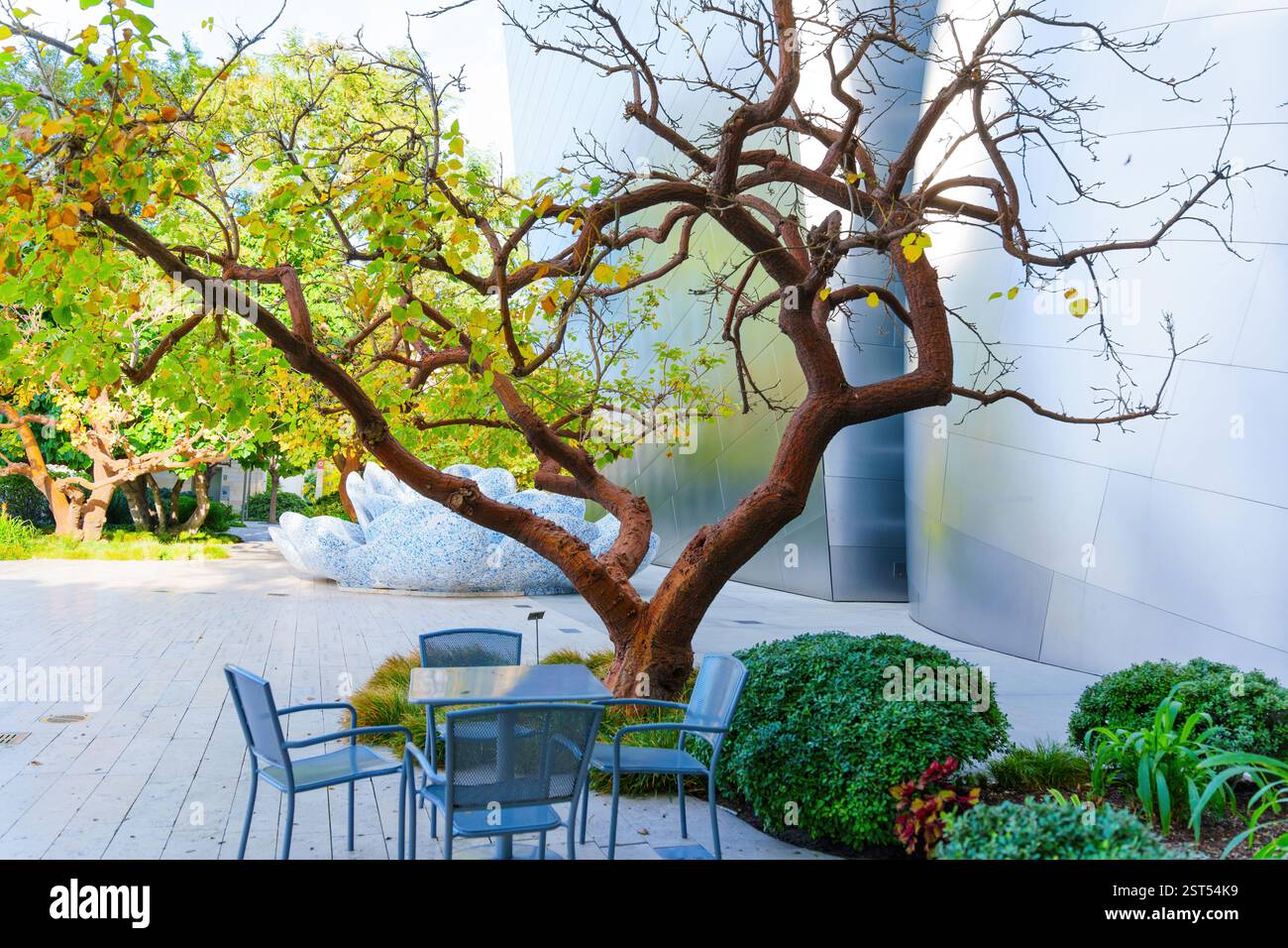Los Angeles, Kalifornien - 7. Januar 2025: Markanter Baum mit verdrehten Ästen neben einem Sitzbereich, umgeben von Grün im Blue Ribbon Garden Stockfoto