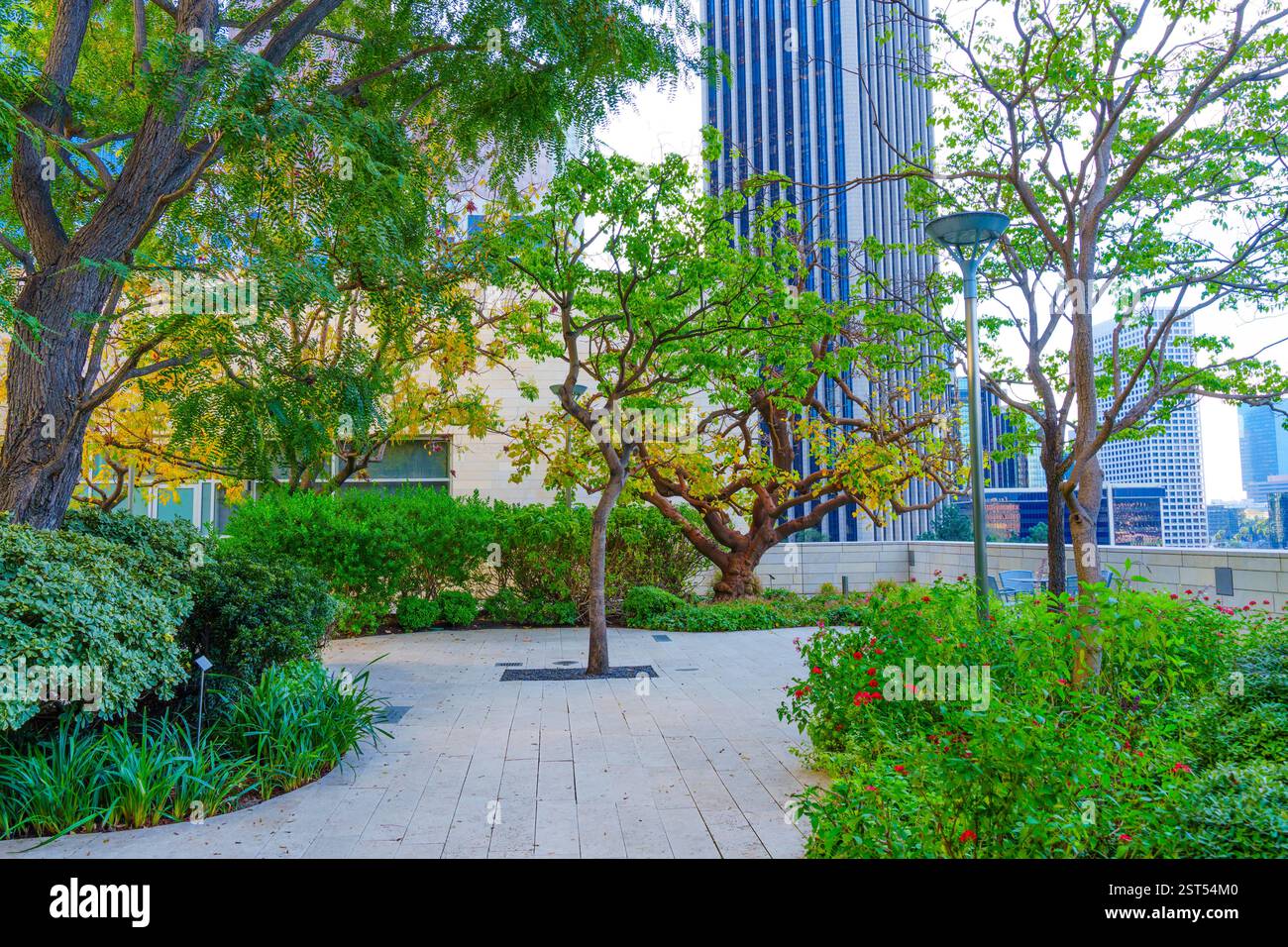 Los Angeles, Kalifornien - 7. Januar 2025: Blick auf den Blue Ribbon Garden mit üppigem Grün und Bäumen, eingerahmt von hoch aufragenden Wolkenkratzern im Hinterland Stockfoto