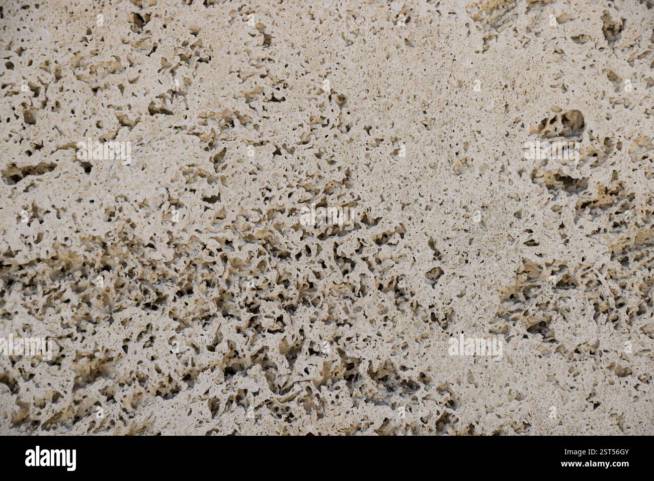 Betonhintergrund mit rauer, industrieller Atmosphäre, perfekt für moderne Design-Ästhetik. Stockfoto