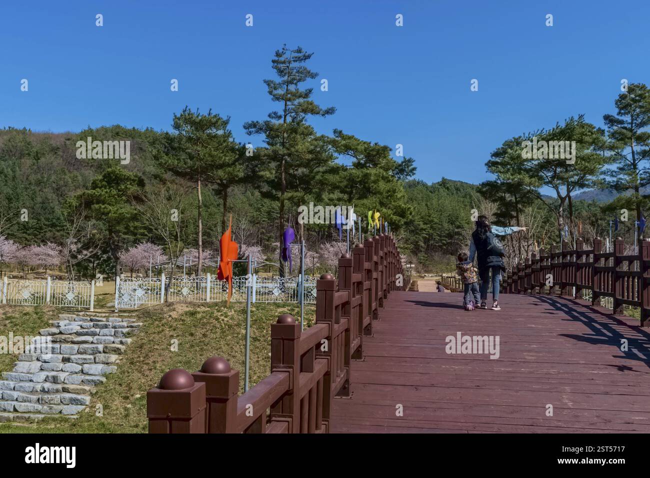 Hwanggan, Südkorea, 8. April 2020: Unerkennbare Mutter und Kind gehen über eine Holzbrücke, die mit Rädern geschmückt ist, im öffentlichen Park am Frühling d Stockfoto