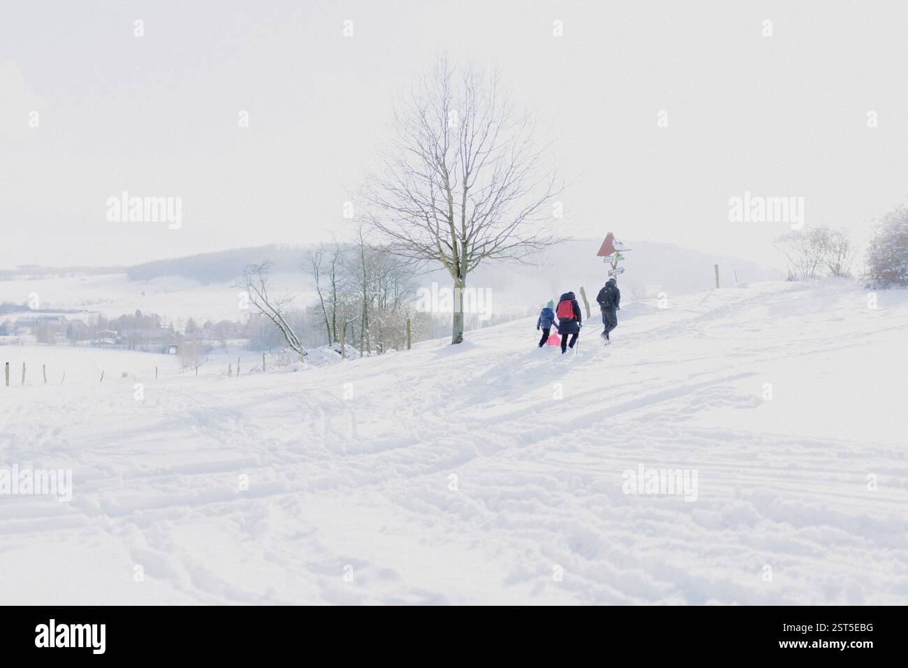 Drei Personen wandern in verschneiter Landschaft in Königshain, 15.02.2025. Koenigshain Deutschland *** drei Personen Wandern in verschneiten Landschaften in Koe Stockfoto