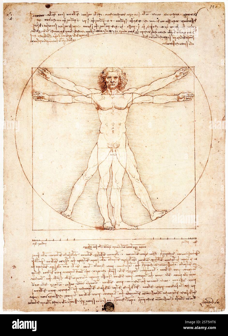 Leonardo da Vinci, vitruvianischer Mann, zeichnend in Stift und Tinte, um 1492 Stockfoto