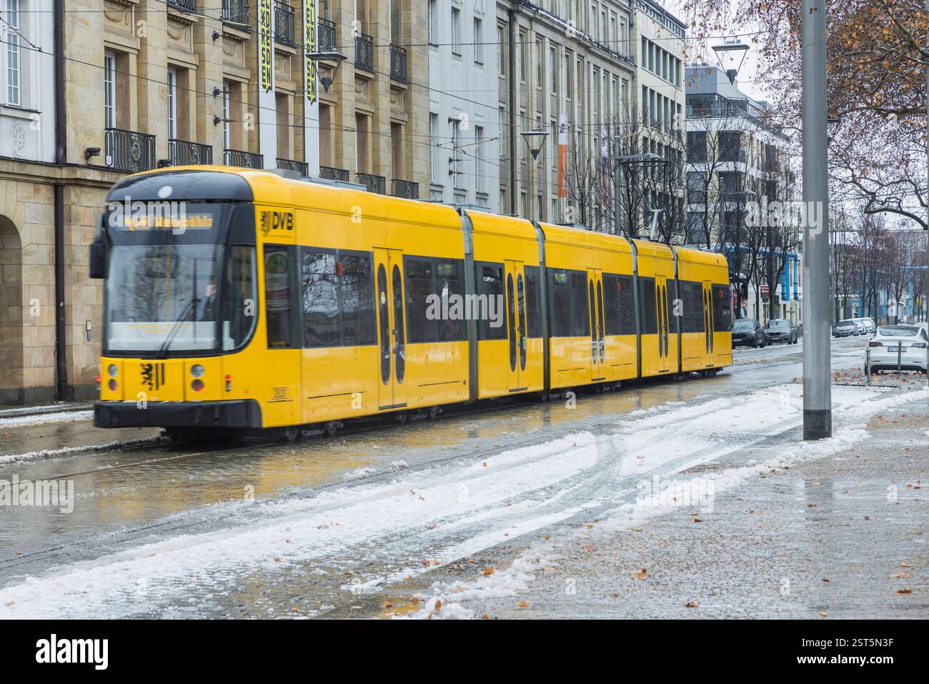 Dresden DVB Gelber Strassenbahnzug der DVB im Stadtgebiet Dresdens. Auf der Wilsdruffer Straße. Dresden Sachsen Deutschland *** Dresden DVB Gelber Straßenbahnzug der DVB im Stadtgebiet Dresden auf der Wilsdruffer Straße Dresden Sachsen Deutschland Stockfoto