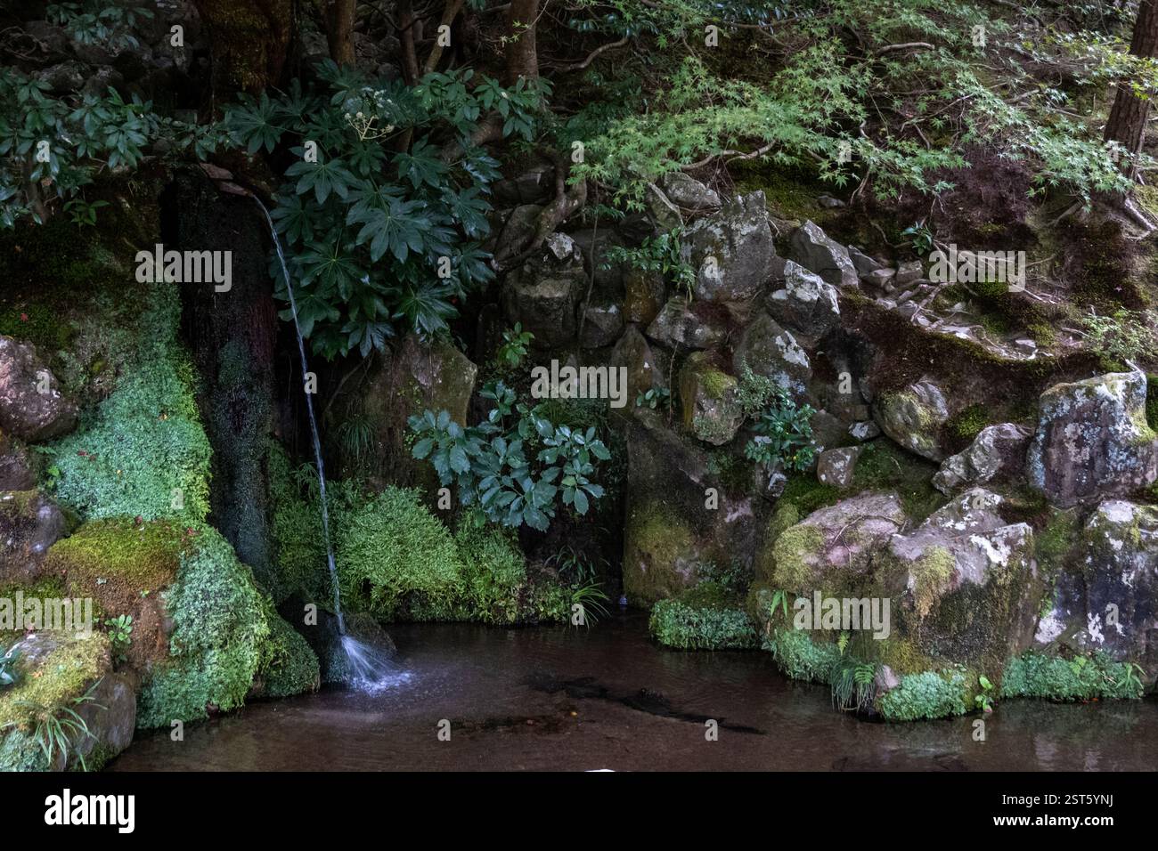 Ginkakuji-Garten und Jishoji-Tempel in Kyoto Japan Stockfoto