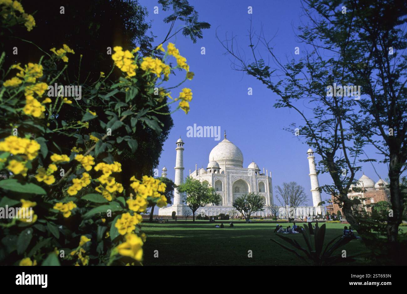 Taj mahal, agra, uttar pradesh, Indien, Asien Stockfoto