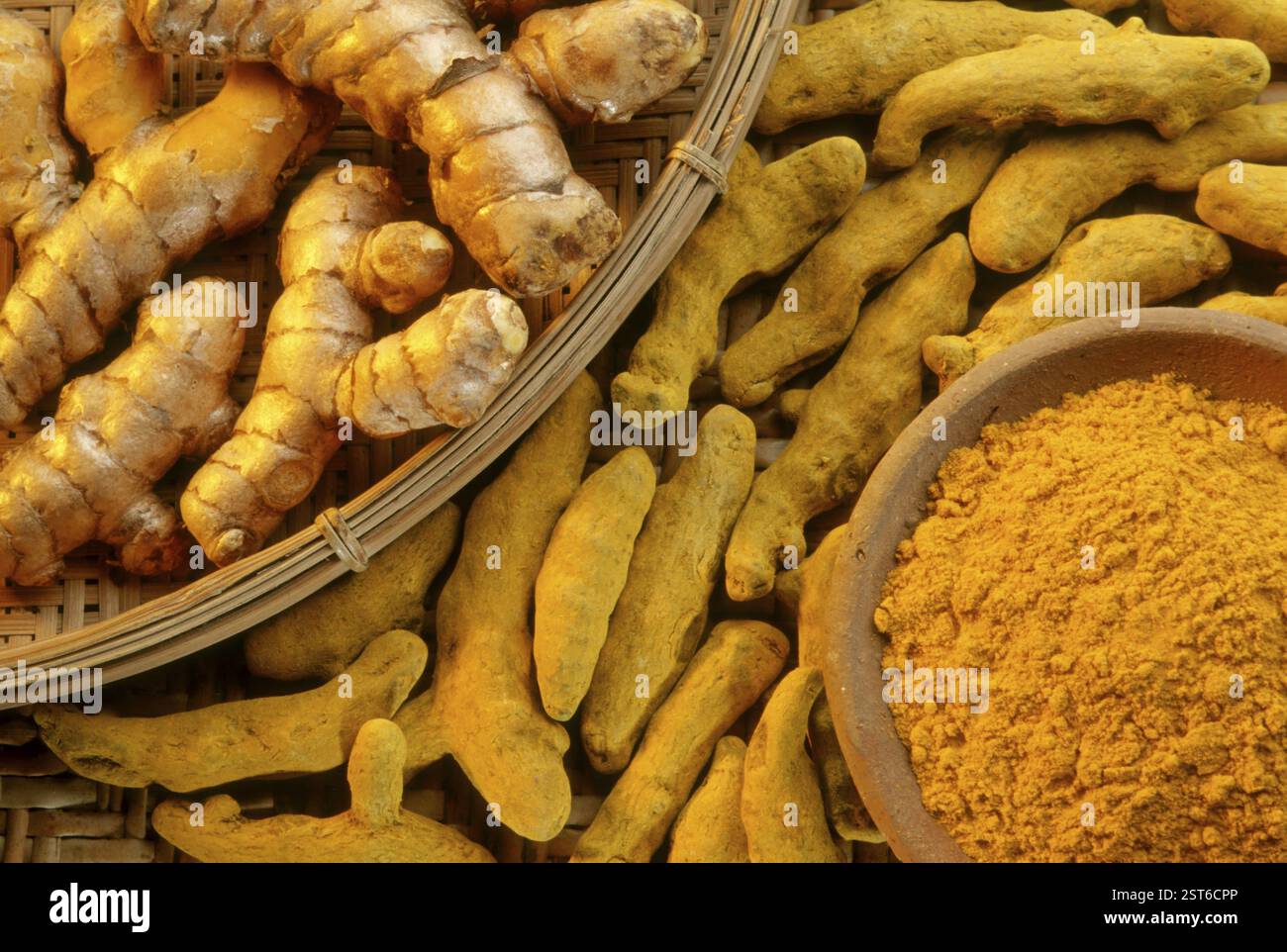 Gewürze, Kurkuma Glühlampen Pulver und Ingwer in der Schüssel Curcuma longa Haldi Stockfoto