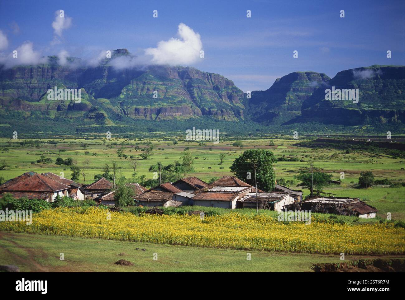 Dorfszene, Khubifata, Dist Pune, Maharashtra, Indien, Asien Stockfoto