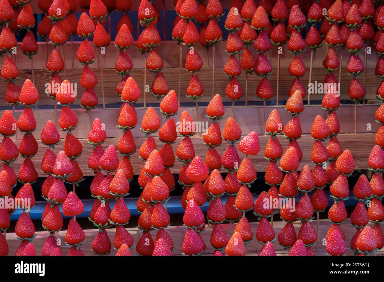 Frische Erdbeerstäbchen, die bei einem Straßenverkäufer in Kyoto, Japan, verzehrt werden können Stockfoto