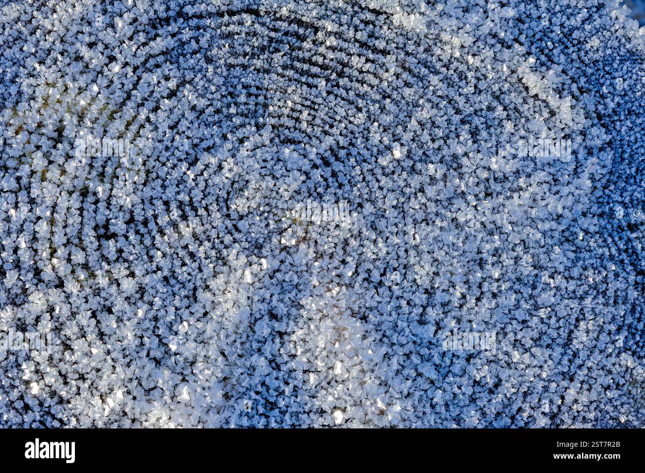 Frost bedeckt den Boden in atemberaubenden Spiralformationen und zeigt die Kunstfertigkeit der Natur an einem kalten, klaren Wintermorgen. Stockfoto