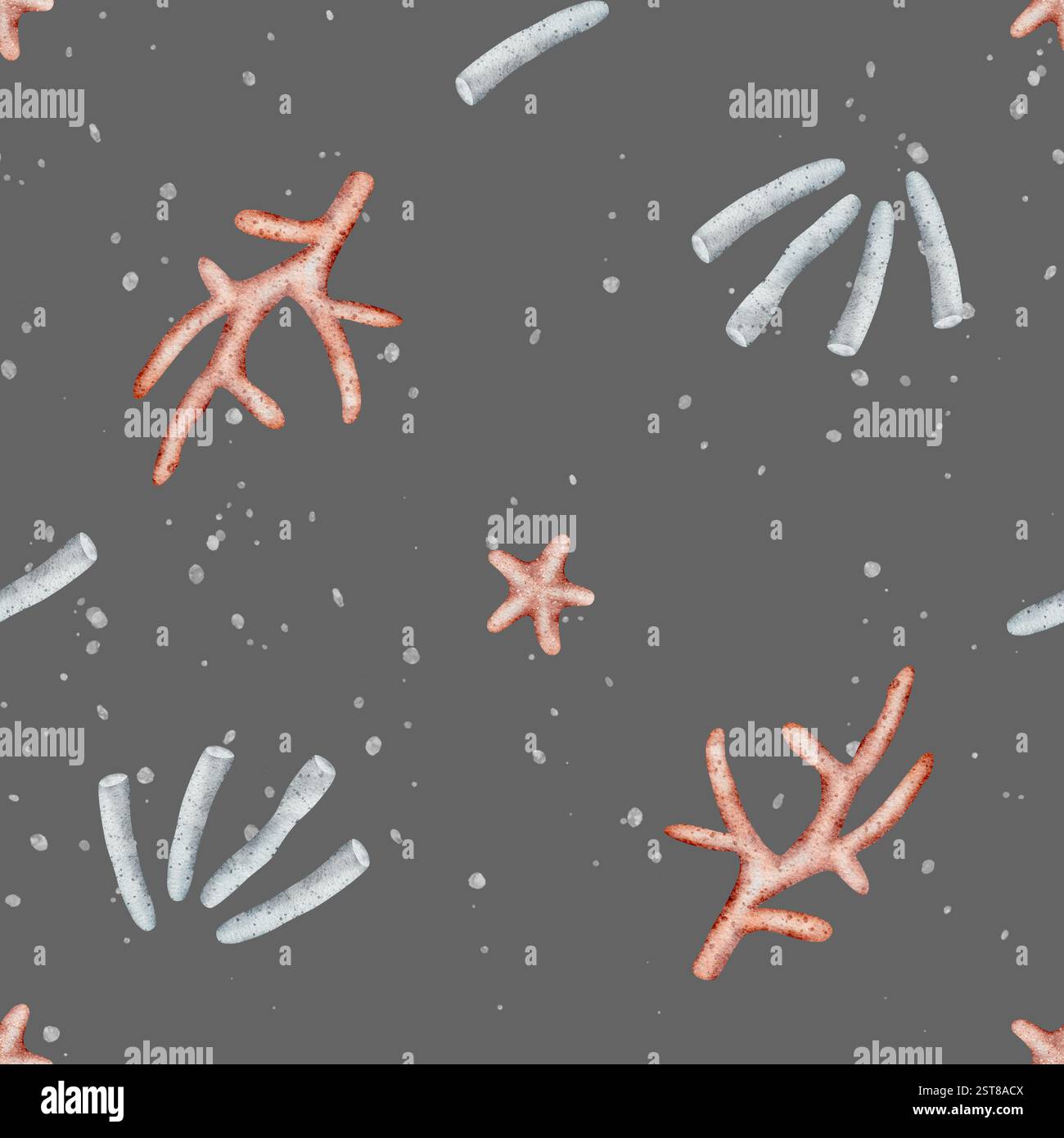 Muscheln mit Aquarellmuster, Korallen, Sterne, Spritzer. Handgezeichnete Illustration im Marine-Stil. Endloser Sommerdruck dunkelgrauer Hintergrundstoff, Textil Stockfoto