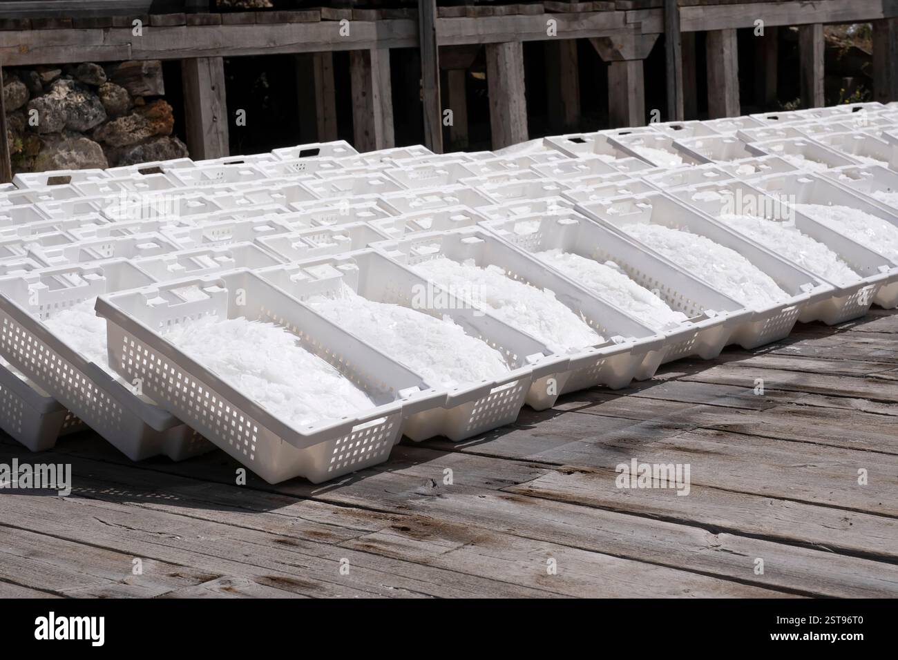 Weiße Kunststoffschalen gefüllt mit frisch geerntetem Salz, das unter der Sonne auf einer Holzplattform trocknet, Fleur de Sel oder Salzblume, in einer Salzmine, Salz Stockfoto
