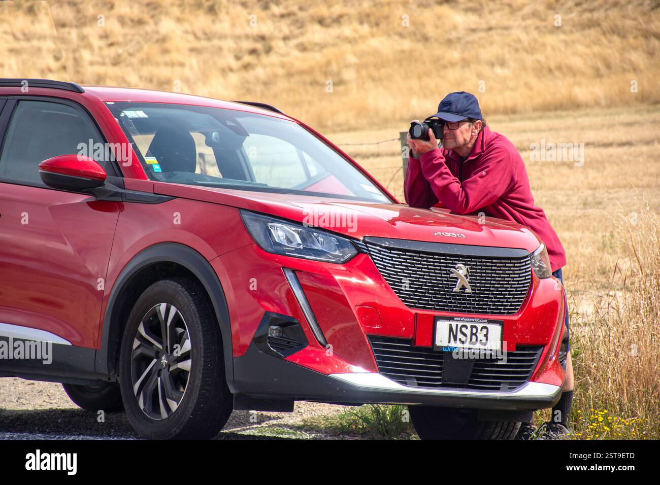 Fotograf, der Fotos auf dem State Highway 8 in der Nähe von Tarras, Otago Region, Südinsel, Neuseeland macht Stockfoto
