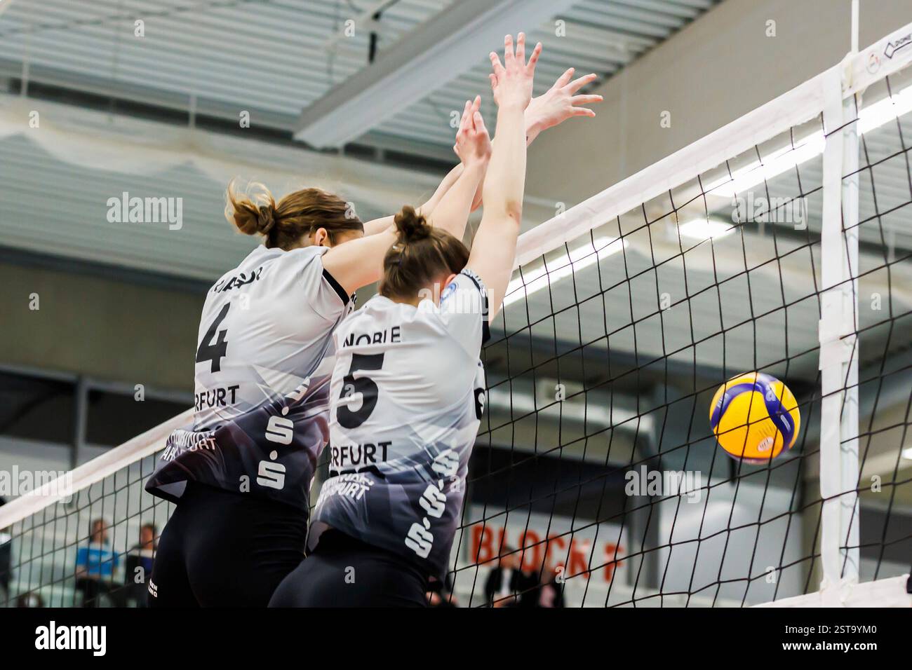 Erfurt, Deutschland. Februar 2025. Von links: Paige Reagor (Schwarz-Weiss Erfurt, 4) und Isabella Noble (Schwarz-Weiss Erfurt, 5) beim Block, 15.02.2025, Erfurt (Deutschland), Volleyball, 1. Bundesliga Frauen, Schwarz-Weiss Erfurt - 1. VC Wiesbaden Credit: dpa/Alamy Live News Stockfoto