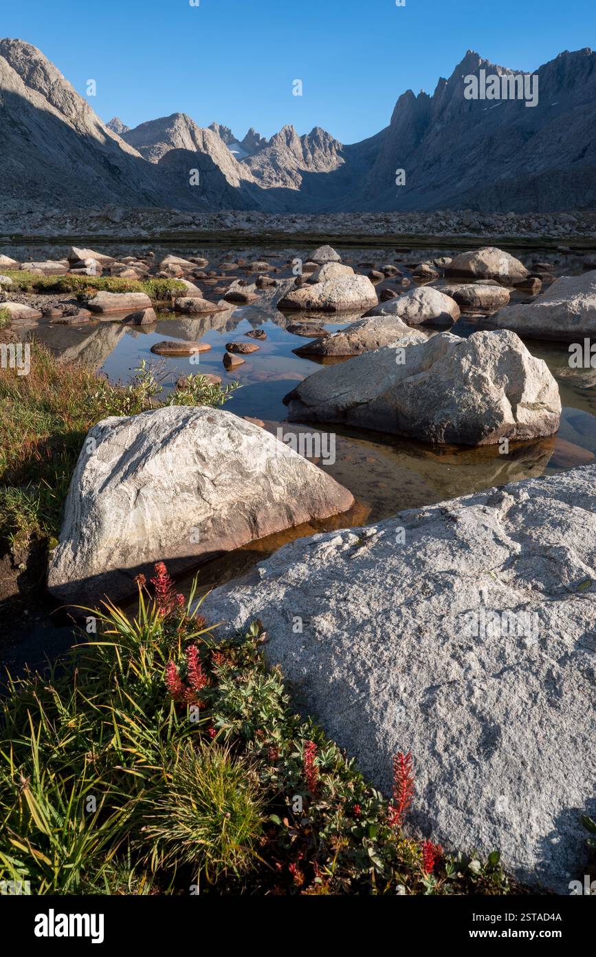 Wiese, Teich und Gipfel, Wind River Range, Wyoming. Stockfoto