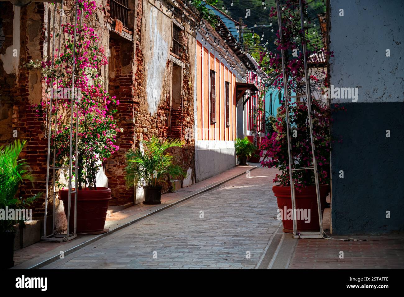 Farbenfrohe Vegetation säumt eine alte Straße im Dorf La Guaira, Venezuela. Bunte Häuser in einer engen Straße. Stockfoto Farbenfrohe Vegetation säumt eine alte Straße im Dorf La Guaira, Venezuela. Bunte Häuser in einer engen Straße. Stockfoto