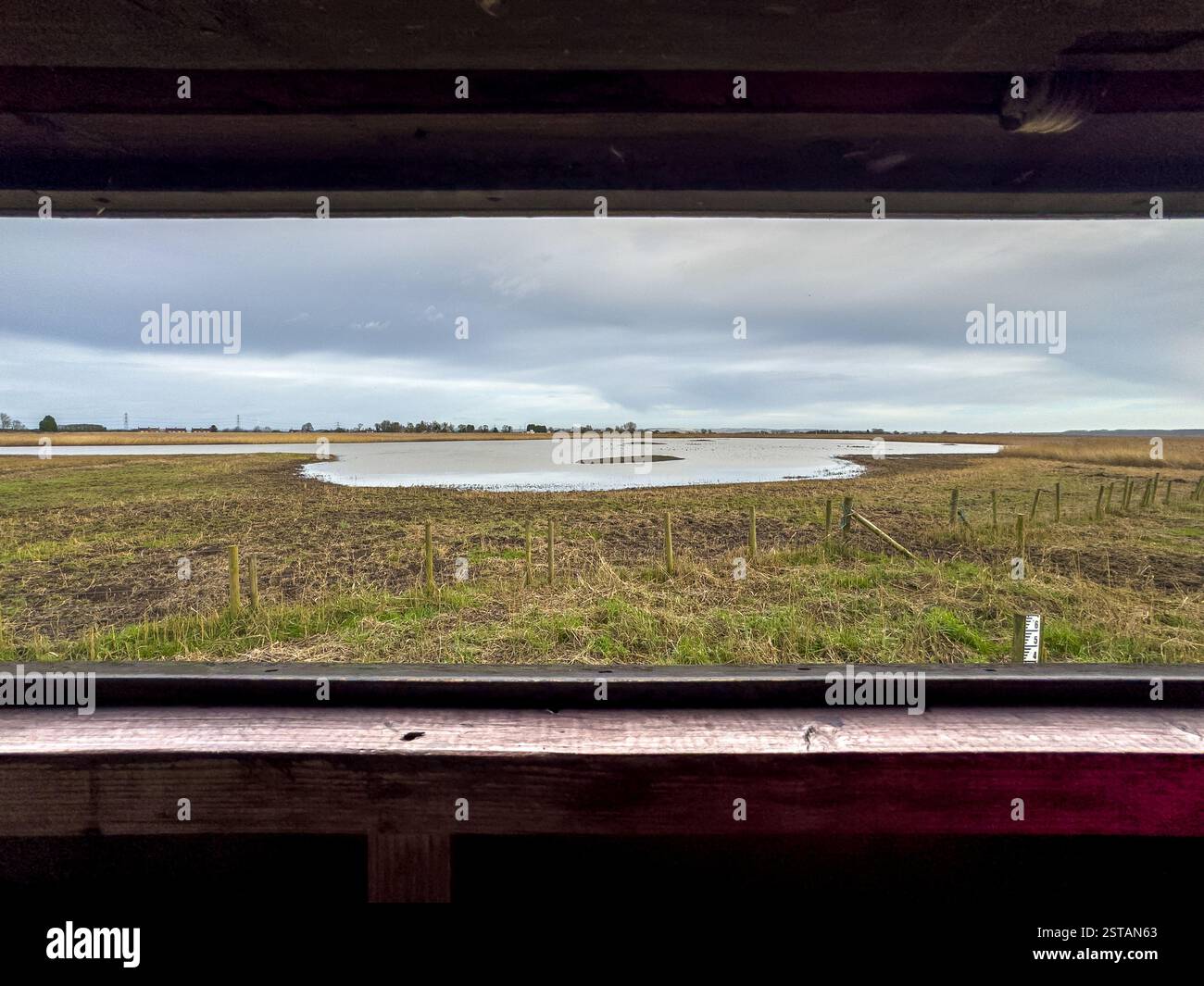 Die Feuchtgebiete von RSPB Blacktoft Sands aus dem Fenster eines Vogelfells an einem grauen Wintertag. Stockfoto