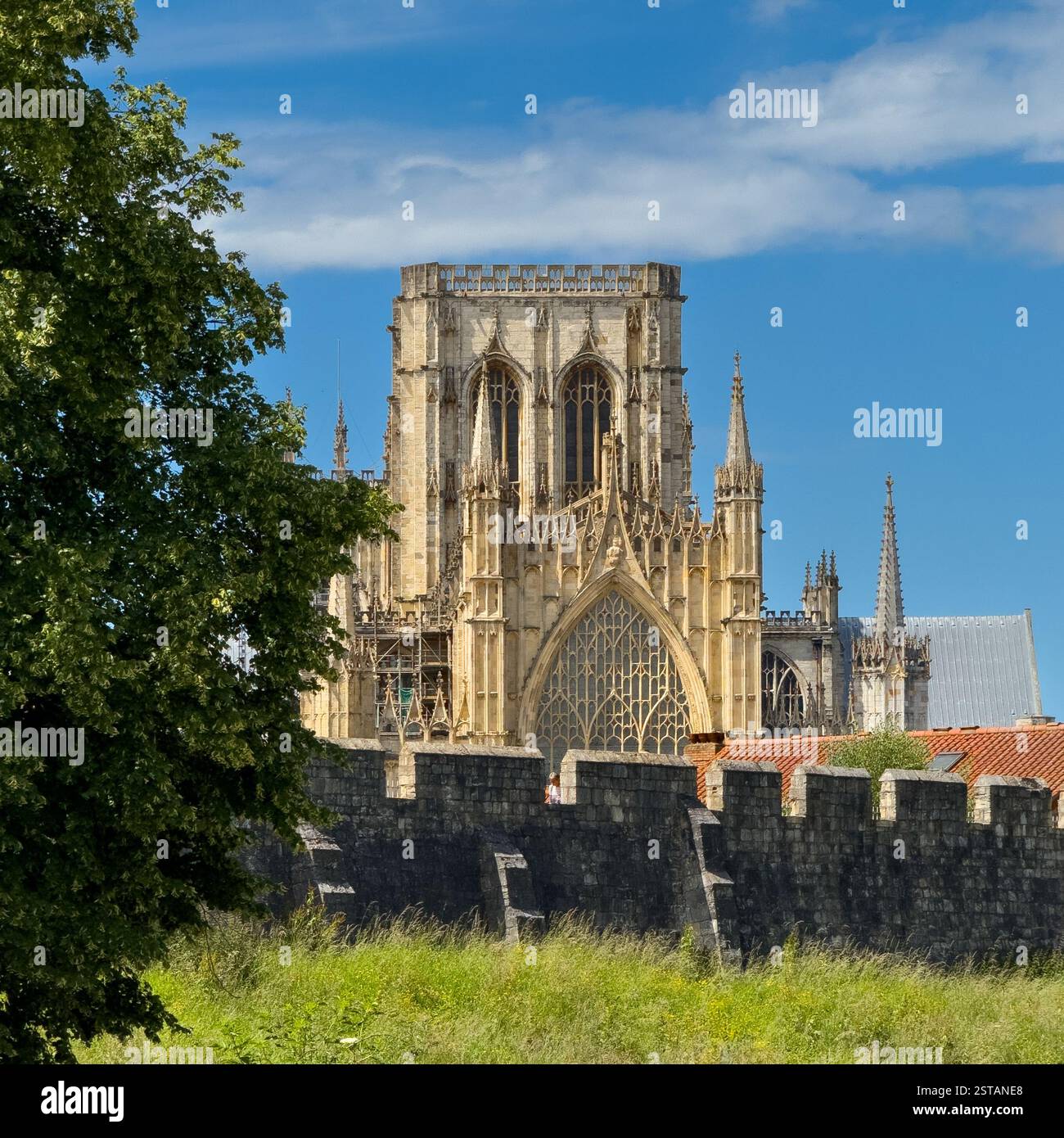 Die Ostfassade des York Minster, mit den Stadtmauern im Vordergrund, gesehen an einem sonnigen Tag mit blauem Himmel.York. Stockfoto