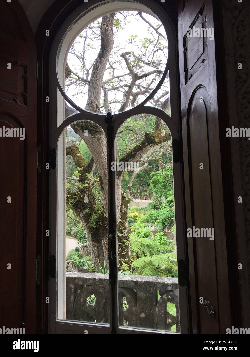 Sintra, Portugal. Ein Fenster überblickt einen üppig grünen Garten mit einem majestätischen Baum in der Mitte. Die Äste des Baumes reichen zum Himmel und bilden einen Sen Stockfoto