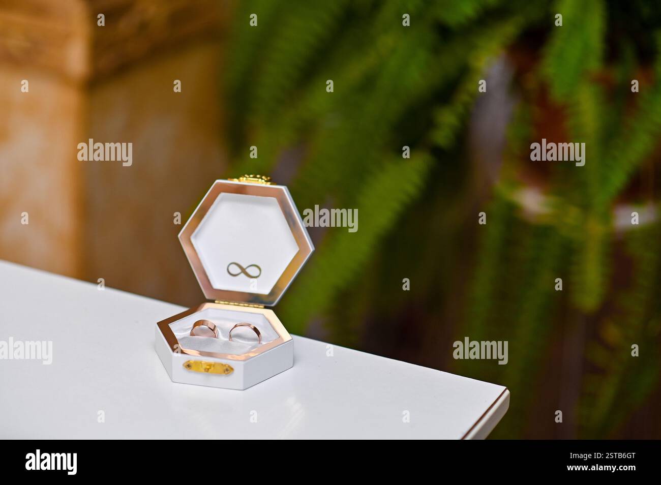 Eheringe in einer Geschenkbox. Das Konzept Stockfoto