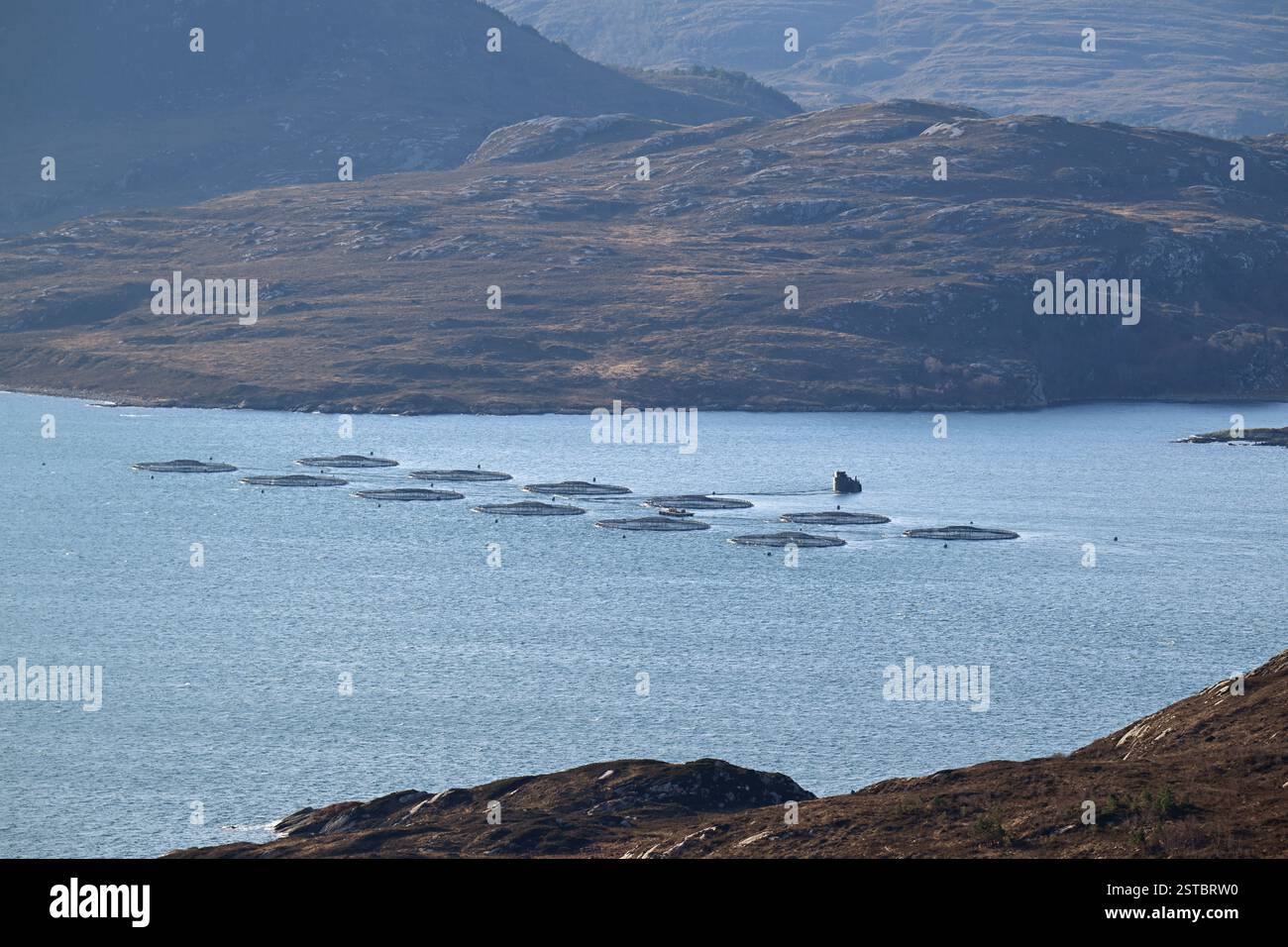 Mowi Scotland Ltd. Lachsfischfarm am Loch Torridon, Schottland Stockfoto
