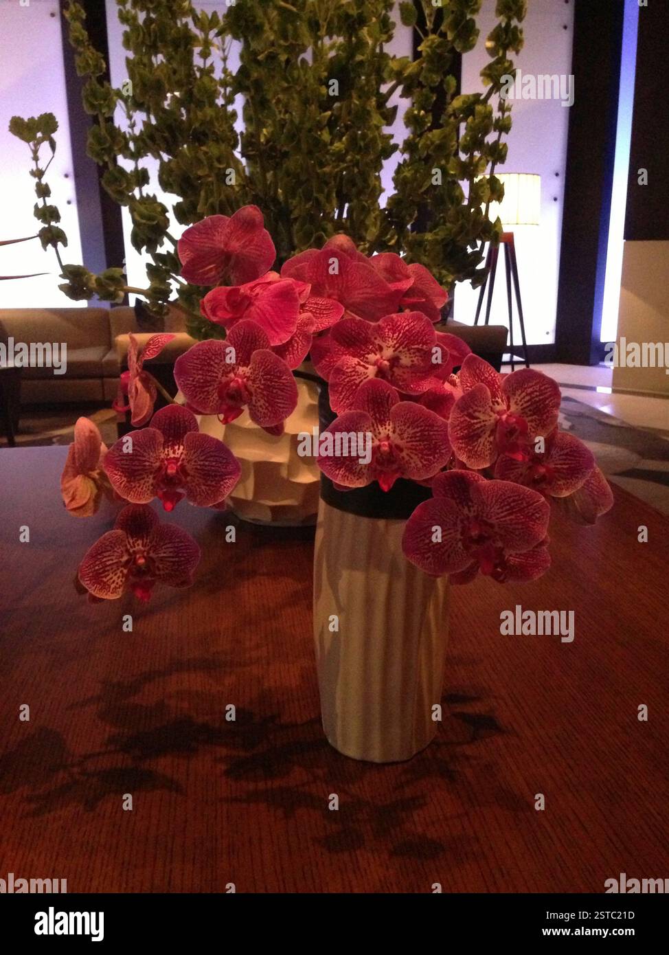 Pinkfarbene Orchideen zieren einen Holztisch in Miami. Ein Mittelpunkt des Frühlings. Stockfoto