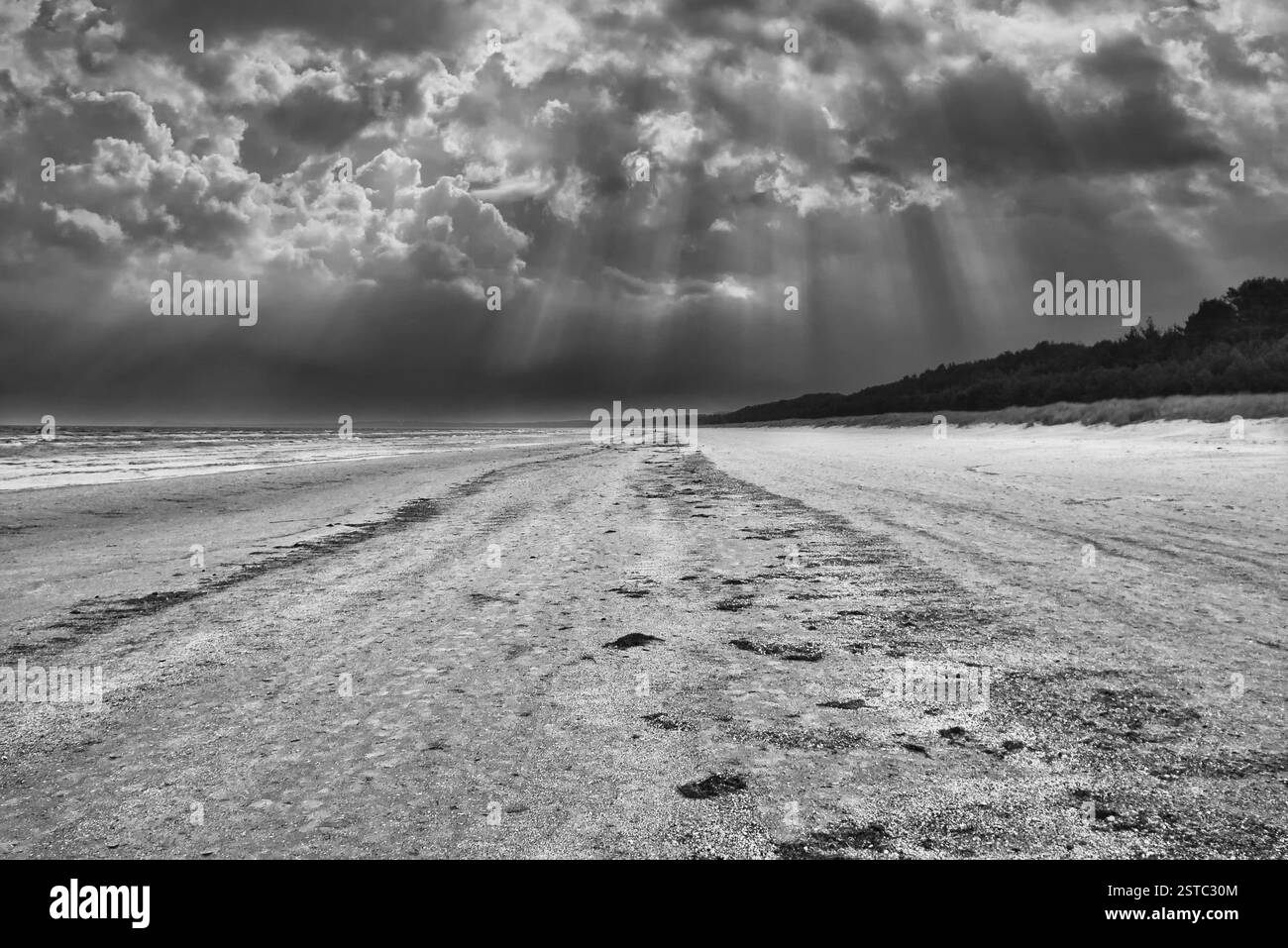 Blick auf den Strand auf der Insel Usedom an der Ostsee in Schwarz-weiß. Landschaftsaufnahme der Küste Stockfoto