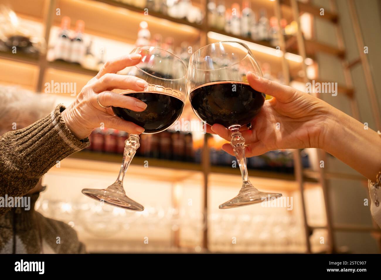 Zwei Frauen geben zwei Getränke Rotwein aus dem Balg. Jung und Senior. Im Hintergrund gibt es ein Weingut ohne Schwerpunkt. Begriff des guten LIFE Stockfoto Zwei Frauen geben zwei Getränke Rotwein aus dem Balg. Jung und Senior. Im Hintergrund gibt es ein Weingut ohne Schwerpunkt. Begriff des guten LIFE Stockfoto