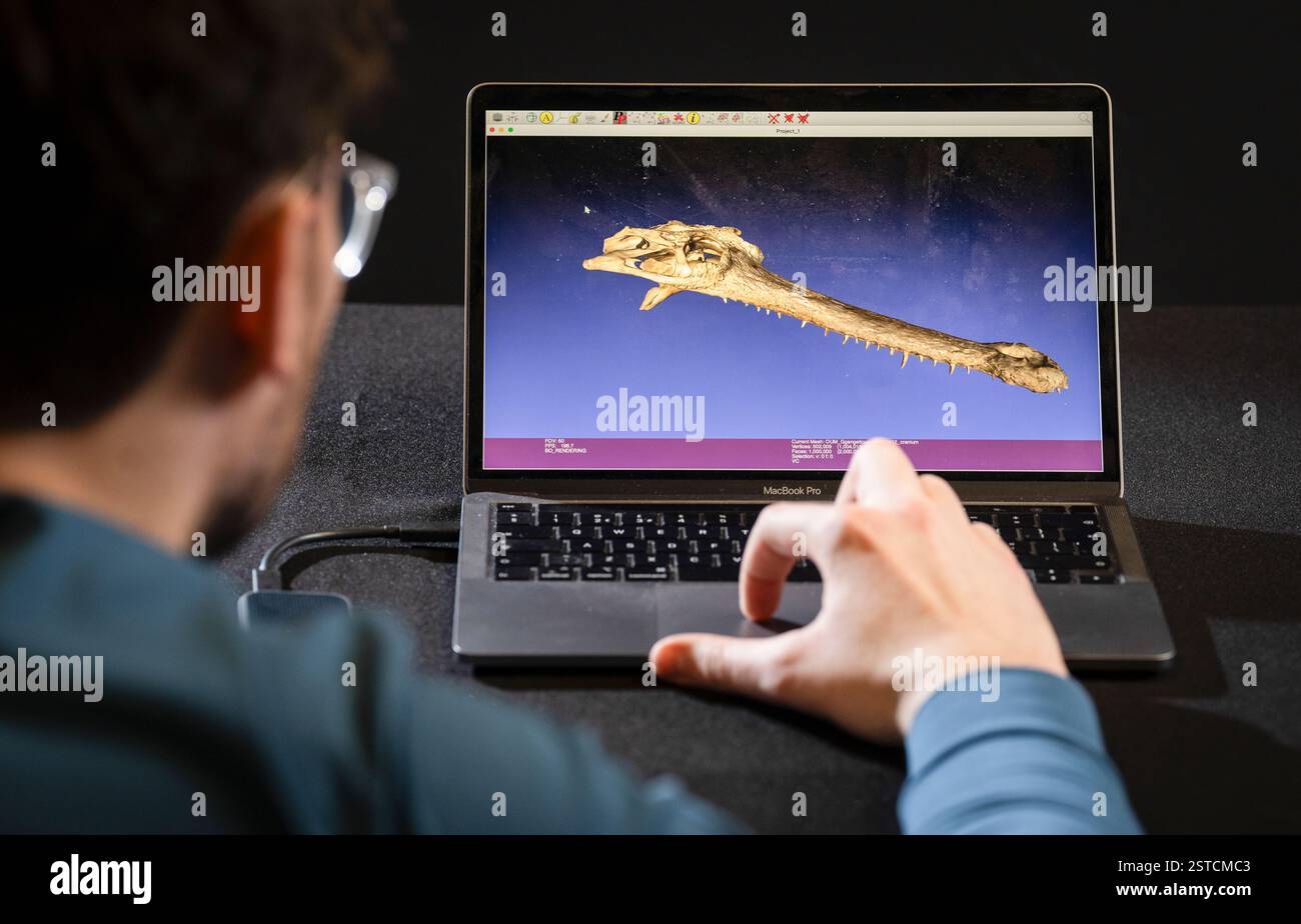 Patrick Hennessey, Doktorand am Centre for Integrative Anatomy des University College London, sieht im Leeds Discovery Centre einen High-Tech-3D-Scan eines großen Gharialschädels. Gghariale sind ein vom Aussterben bedrohtes Krokodil, das in einer Handvoll Flüsse in Indien und Nepal beheimatet ist. Bilddatum: Dienstag, 18. Februar 2025. Stockfoto