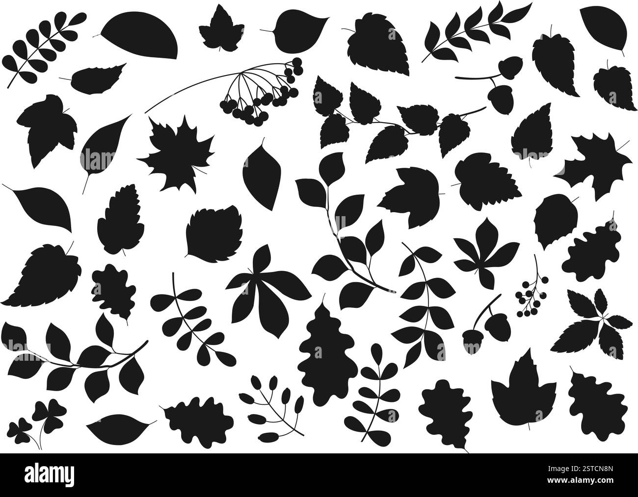 Baumblätter und Pflanzensamen isoliert Natur und Flora Silhouette Ikonen. Vector Waldbaumblatt aus Ahorn, Birke, Ulme und Kastanie, Pappel, Eberesche berri Stock Vektor