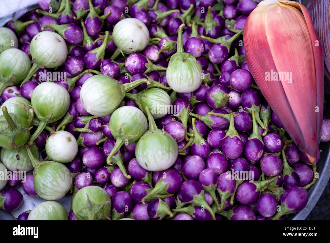 Ein lebhafter Markt mit einem Haufen kleiner lila Auberginen, größeren grünen Thai Auberginen und einer frischen roten Bananenblüte. Stockfoto