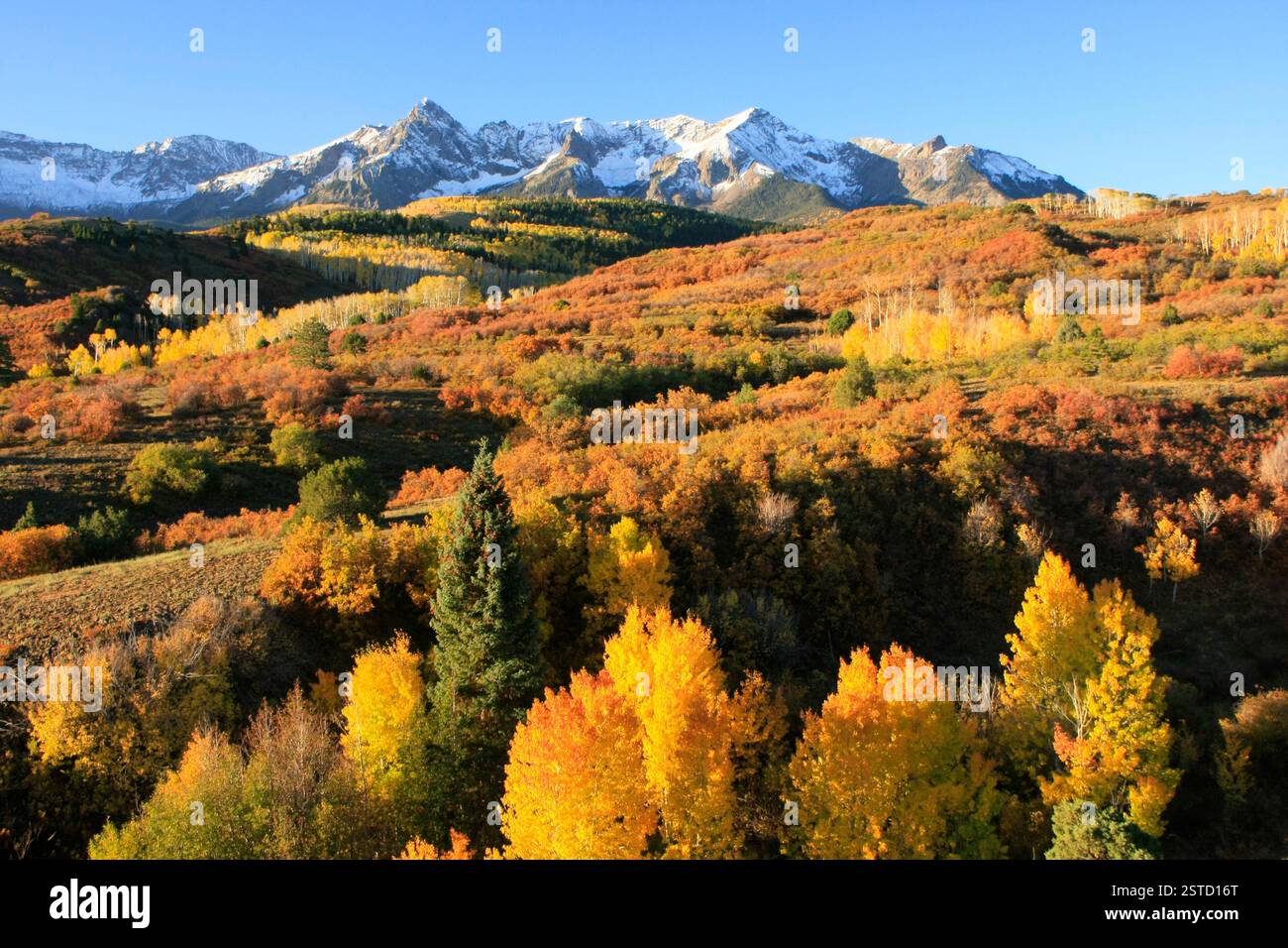 Dallas Divide, Sneffels Range Stockfoto