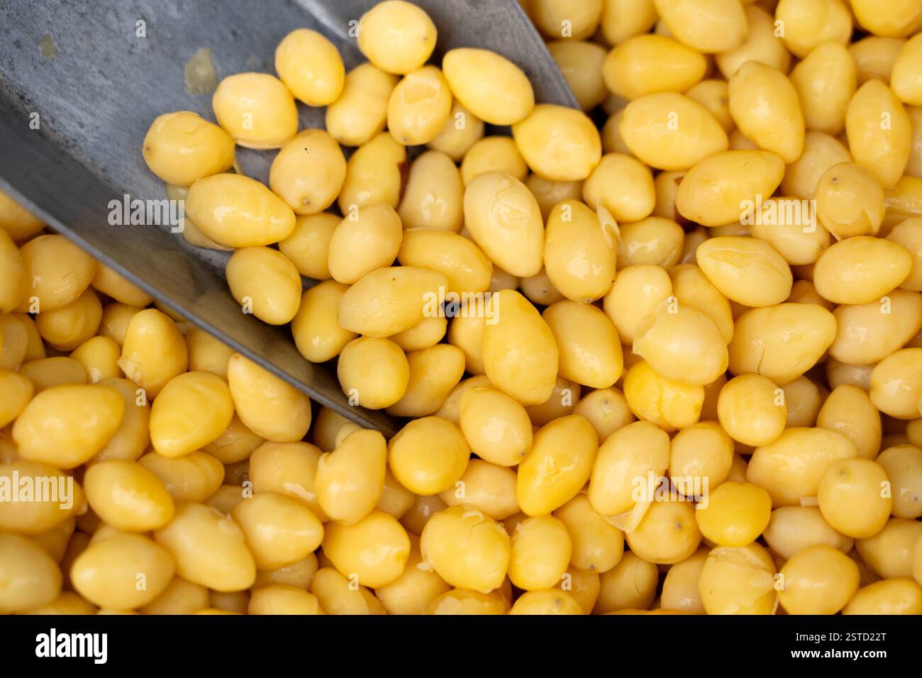 Nahaufnahme geschälter Gingko auf dem Markt Stockfoto Nahaufnahme geschälter Gingko auf dem Markt Stockfoto