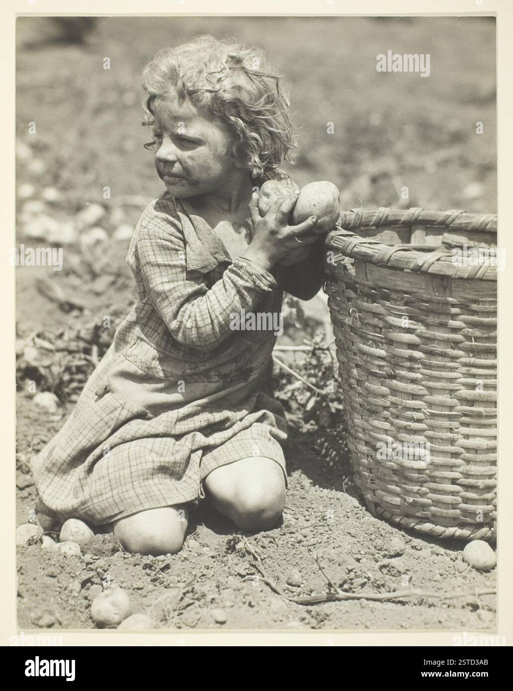 Ein Gelatinedruck aus dem Jahr 1930 zeigt Kinderarbeit auf einer Farm in den Vereinigten Staaten. Das Foto zeigt die Schwierigkeiten, denen Kinder in der Landwirtschaft während der Großen Depression gegenüberstanden. Stockfoto
