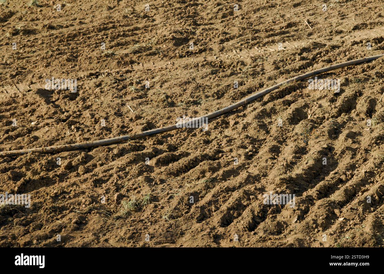 Abstrakte Schlange der Erde. Schlauch auf der Sandoberfläche. Stockfoto
