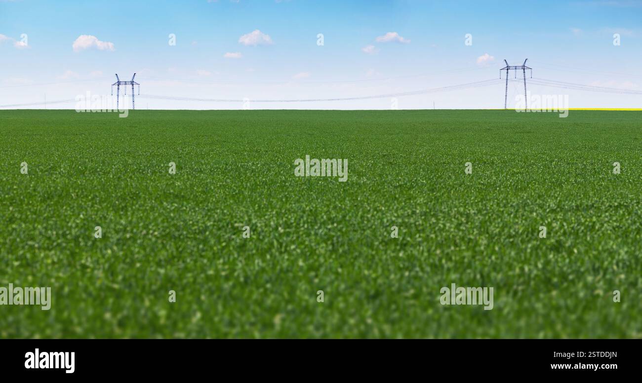 Wiese und Stromleitungen - Industrielandschaft Stockfoto
