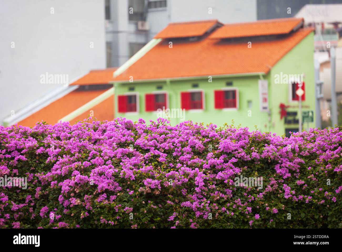 Übliche altmodische Architektur in Singapur Stockfoto