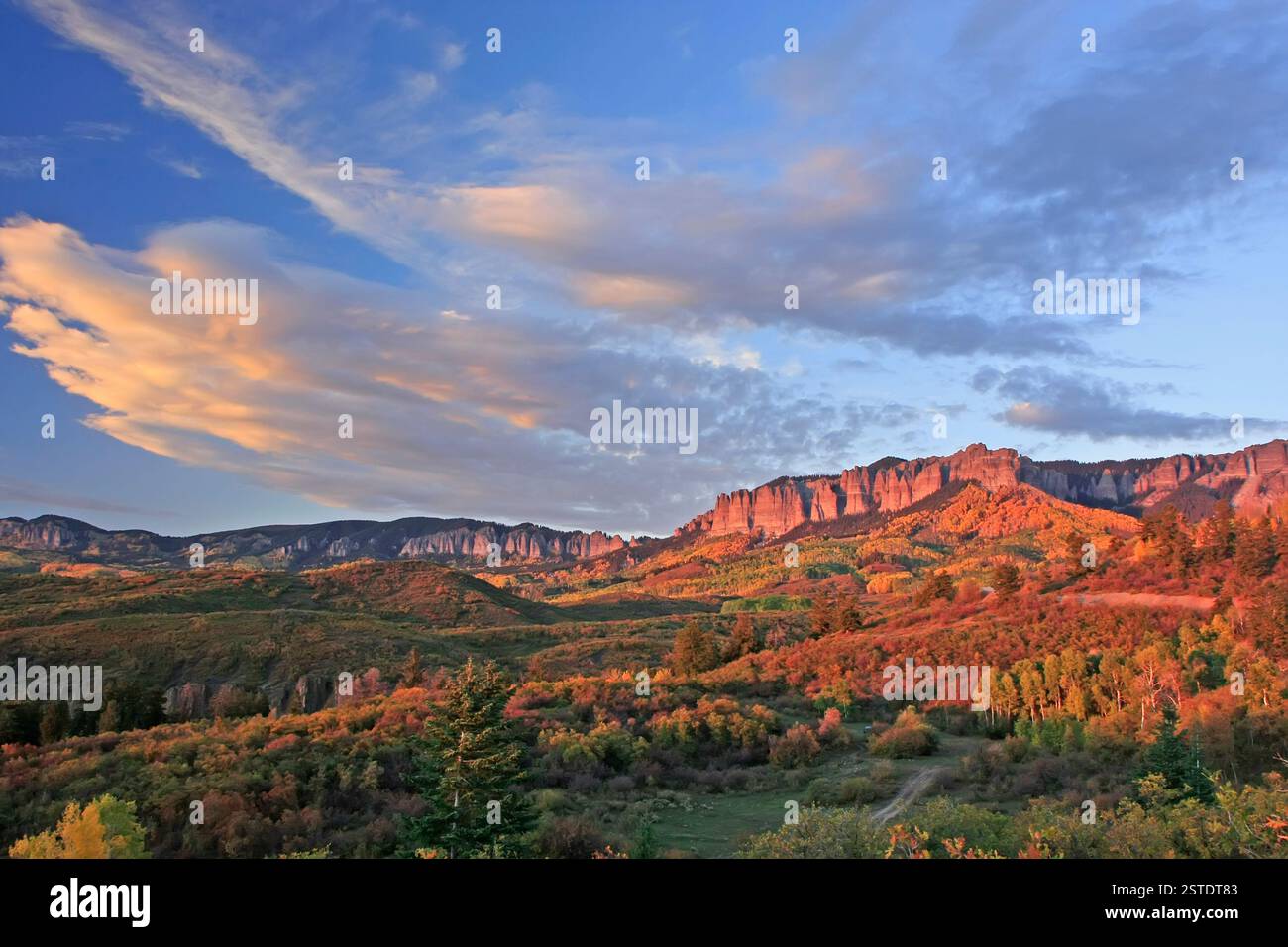 Cimarron Ridge, Uncompahgre National Forest, Gunni Stockfoto