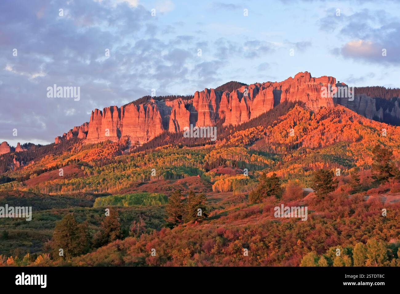 Cimarron Ridge, Uncompahgre National Forest, Gunni Stockfoto