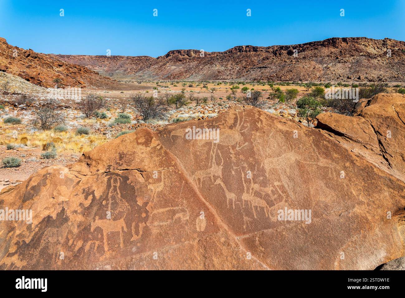 Felsgravuren, antike Petroglyphen von Tieren in Twyfelfontein, Damaraland, Namibia Stockfoto