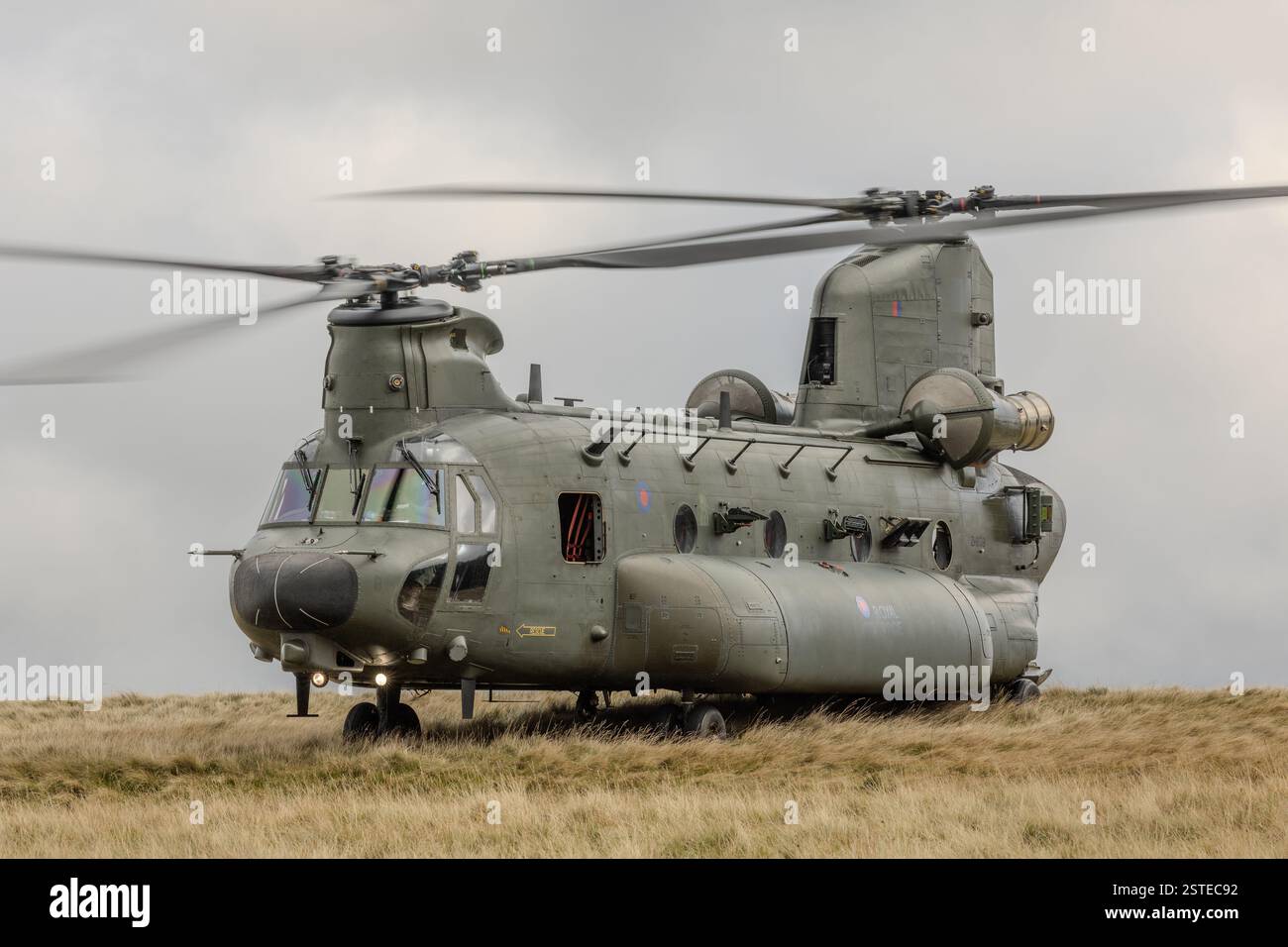 SF Helicopters, Chinooks, die Schulungen in Wales und der englischen Grenze durchführen Stockfoto