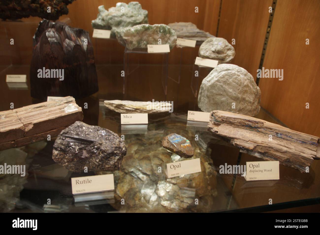 Vitrine aus Kristall gefüllt mit verschiedenen bunten Steinen und Mineralien. Glimmer, Opal und Rutil sind beschriftet. Geologische Proben heben das natura der Erde hervor Stockfoto