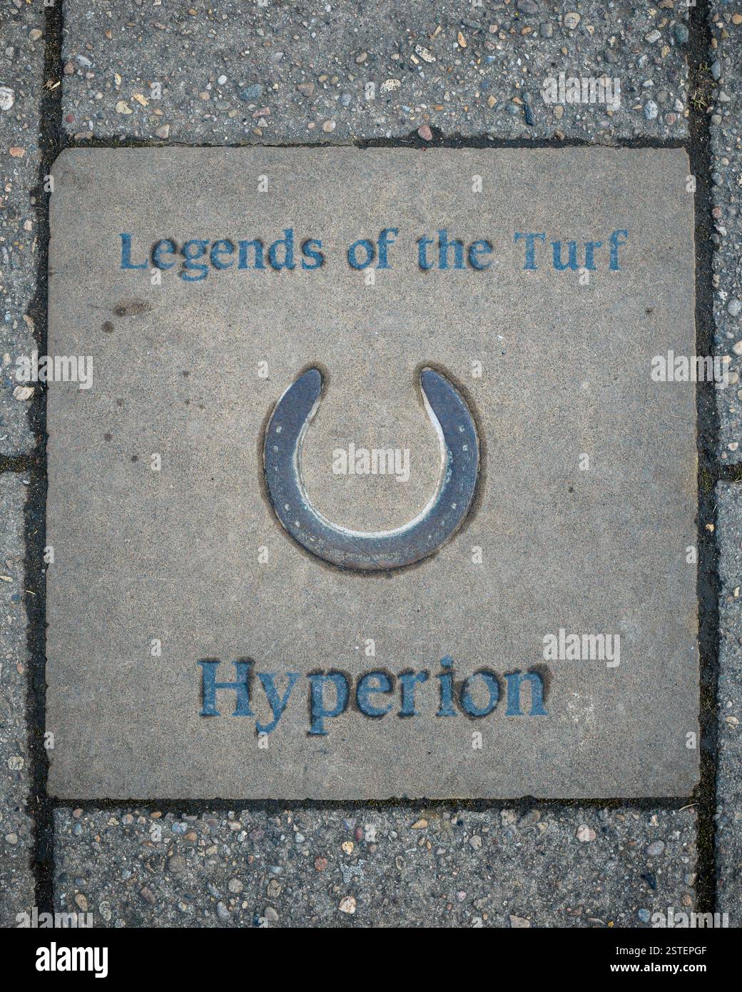 Legends of the Turf Newmarket - Newmarket's 'Walk of Fame' - Gedenksteinplatten in der Newmarket High Street. Hyperion - Rennpferd Stockfoto