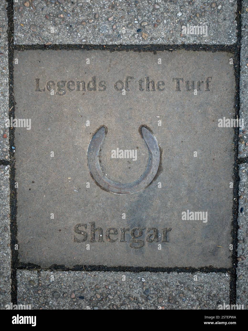 Legends of the Turf Newmarket - Newmarket's 'Walk of Fame' - Gedenksteinplatten in der Newmarket High Street. Shergar - Rennpferd. Stockfoto