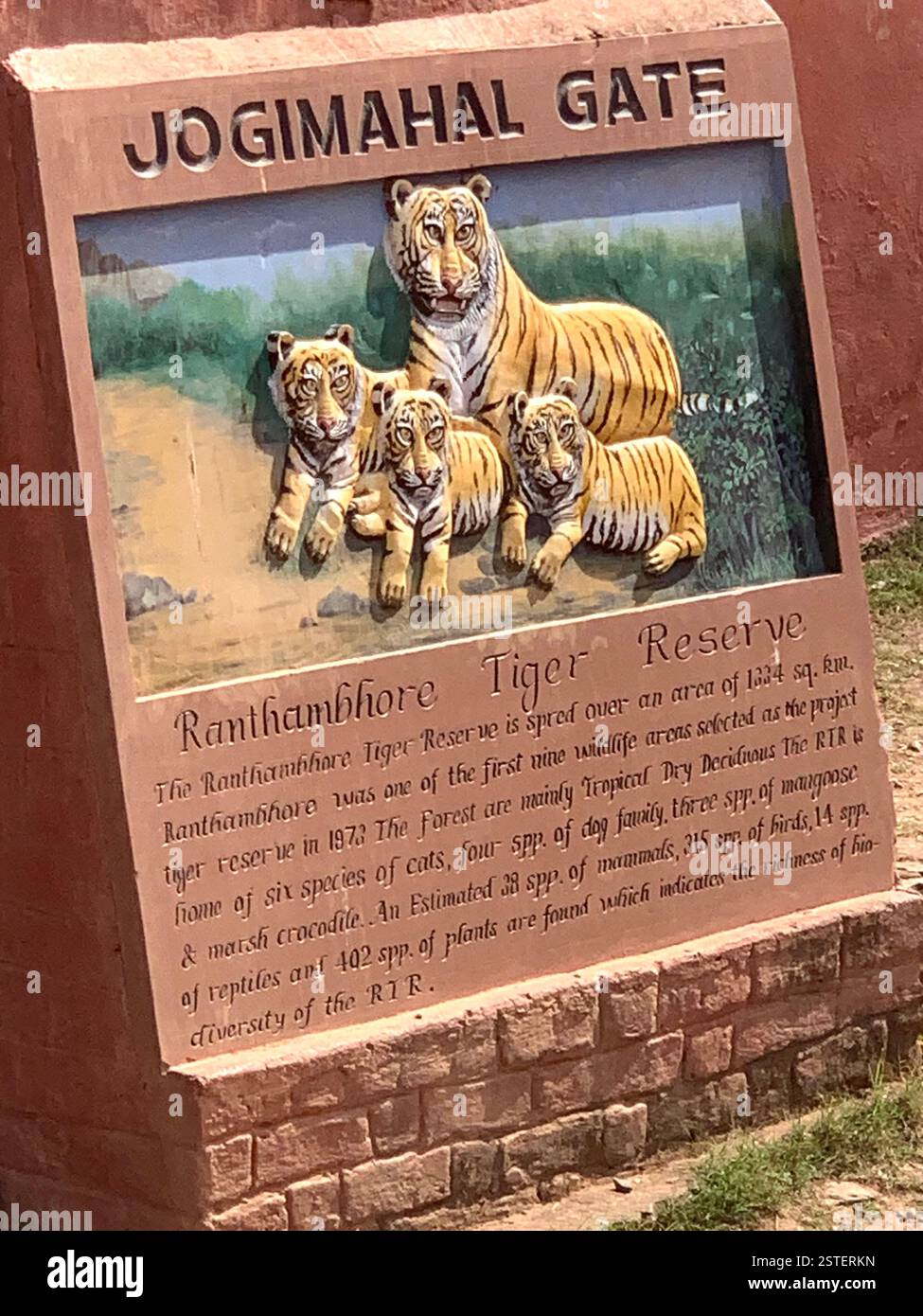 Safari Park India Forest Tiger Reserve tropische Tiere Hirschwälder Holzarten Krokodile Zoo Tiger Trockengebiet Mangustvögel Arten - Smartphone-aufgenommenes Stockfoto