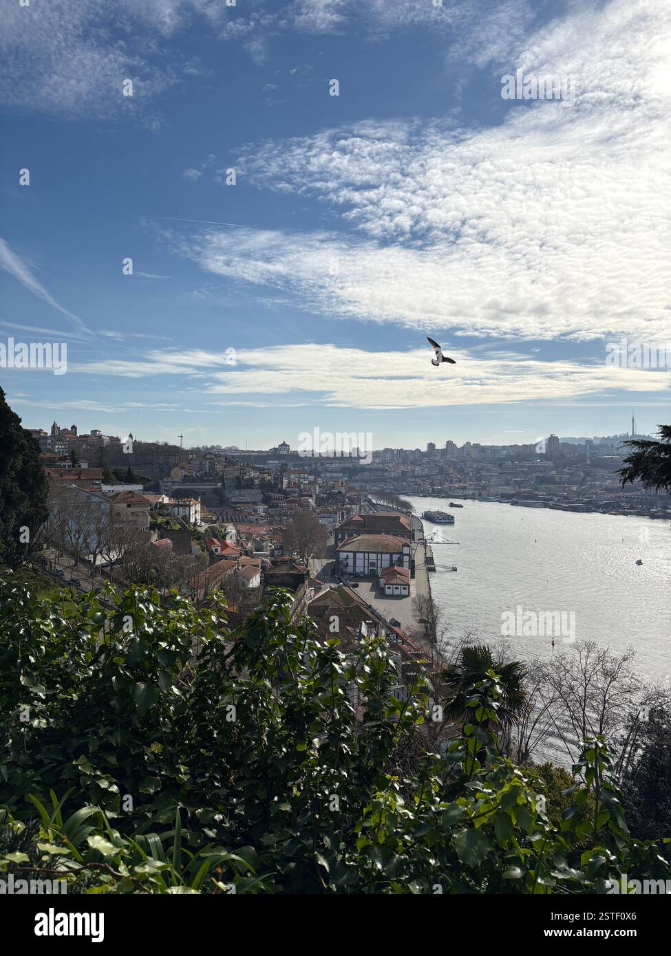 Panoramablick auf Porto in Portugal Stockfoto
