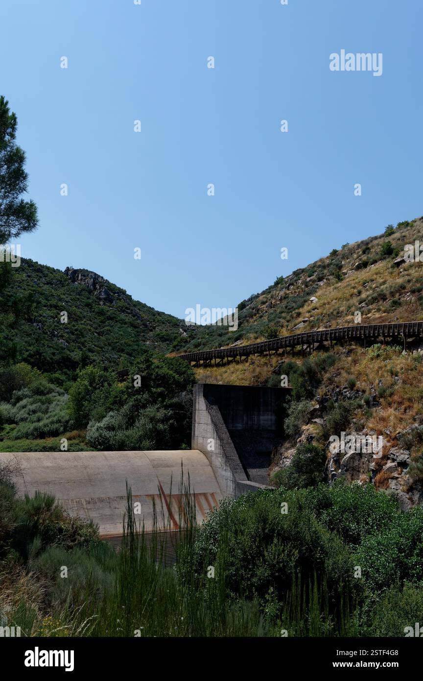 Ein malerischer Holzsteg führt durch die üppigen Hügel von Passadicos do Mondego und überquert einen Betondamm. Stockfoto