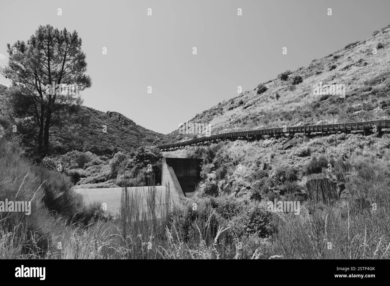 Ein gewölbter Holzsteg führt durch die zerklüftete Landschaft von Passadicos do Mondego. Stockfoto