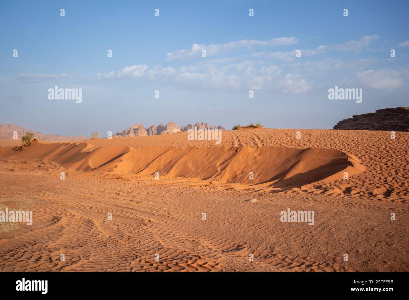 Wüstenlandschaft in Südjordanien. Sonnige Landschaft im Wadi Rum. Sandfläche im Nahen Osten. Stockfoto