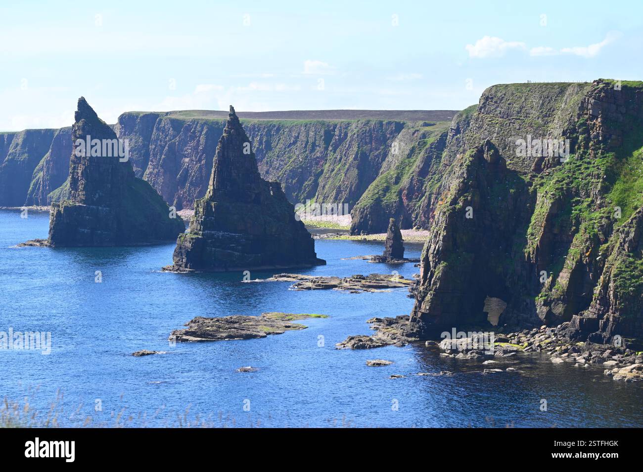 Seestapel in Duncansby Head, Schottland Juli Stockfoto